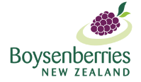 Boysenberries New Zealand