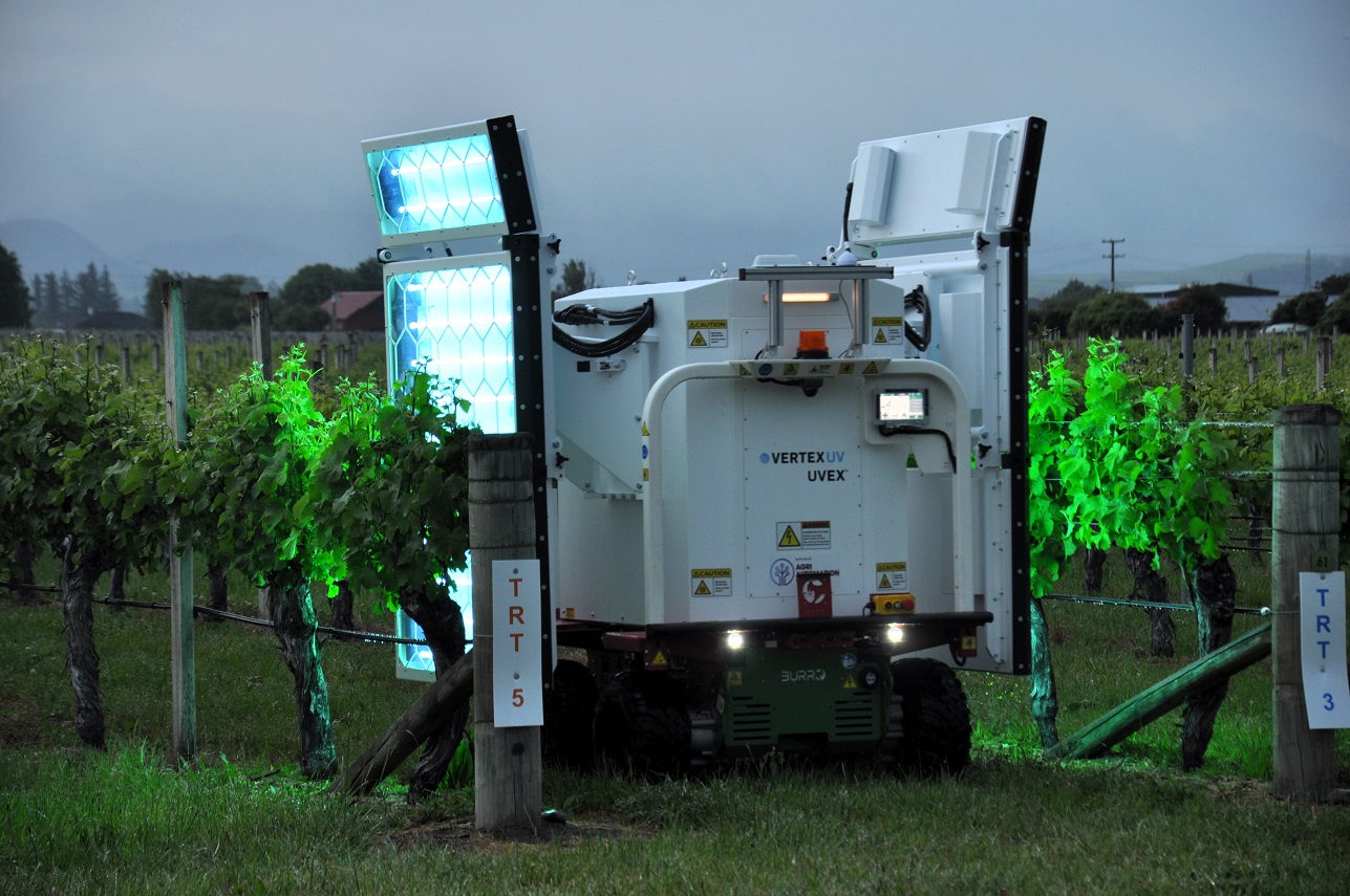 UV-C technology trialled in wine grapes and summerfruit