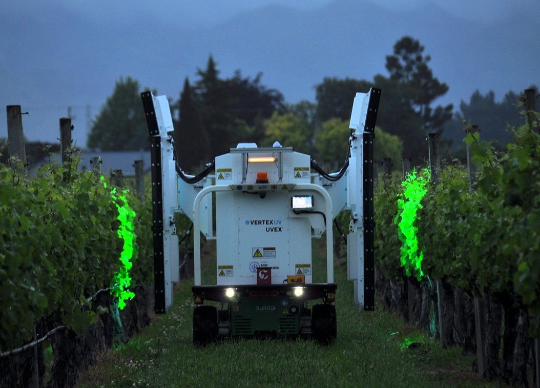 Workshop – UV light in vineyards to reduce fungicide dependence