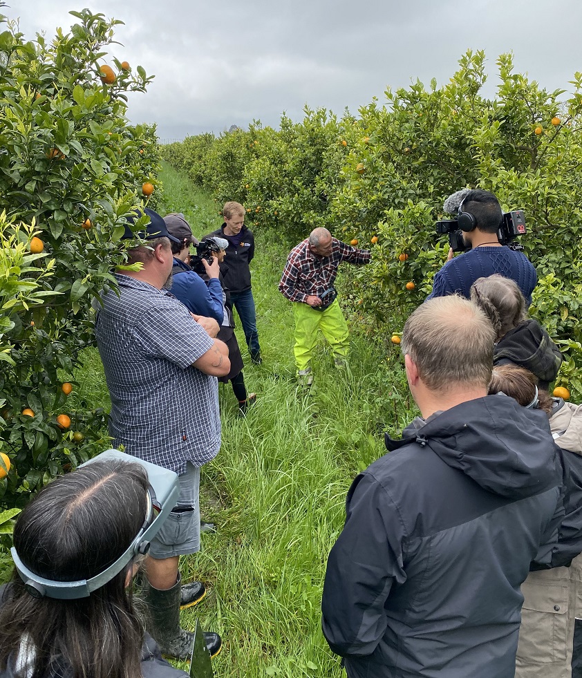 Citrus NZ sees ALT investment bearing fruit